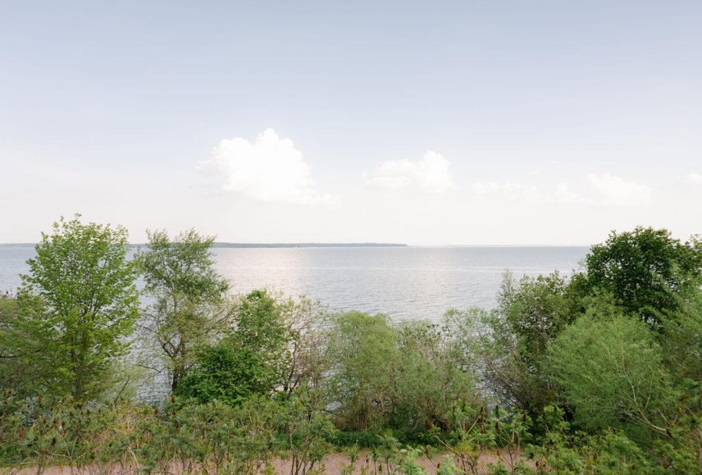 בייפילד Seagull Bay Motel חדר תמונה
